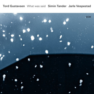 Zdjęcie do GUSTAVSEN TORD - What Was Said