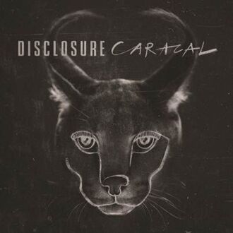 Zdjęcie do DISCLOSURE - Caracal