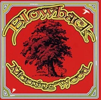 BLOWBACK - Morning Wood. Okładka płyty