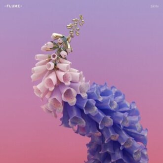 FLUME - Skin. Okładka płyty