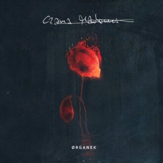 ORGANEK - Czarna Madonna. Okładka płyty