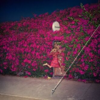 FEIST - Pleasure. Okładka płyty