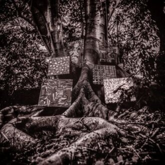 WASHINGTON KAMASI - Harmony Of Difference. Okładka płyty