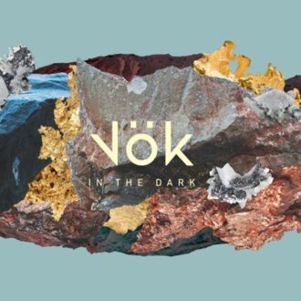 VOK - In The Dark. Okładka płyty