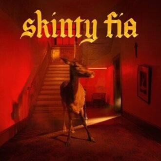 FONTAINES D.C. - Skinty Fia. Okładka płyty