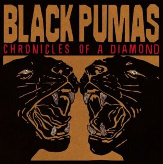 BLACK PUMAS - Chronicles Of A Diamond. Okładka płyty