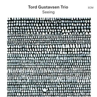 GUSTAVSEN TORD TRIO - Seeing. Okładka płyty