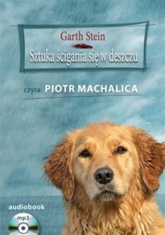 SZTUKA ŚCIGANIA SIĘ W DESZCZU - STEIN GARTH
