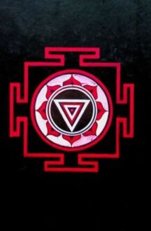 ROBERTS GREGORY DAVID - SHANTARAM 2. CIEŃ GÓRY