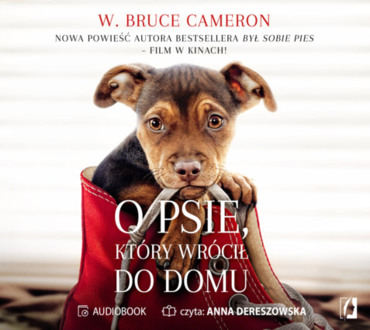 CAMERON W. BRUCE - O PSIE, KTÓRY WRÓCIŁ DO DOMU. okładka książki audio