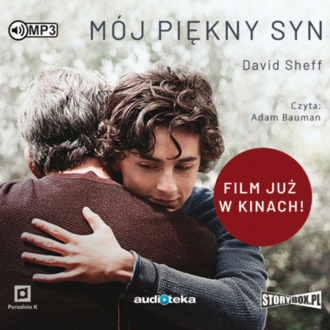 SHEFF DAVID - MÓJ PIĘKNY SYN. okładka książki audio