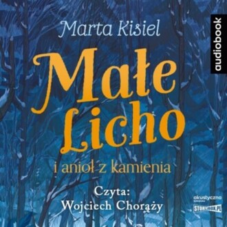 KISIEL MARTA - MAŁE LICHO 2. MAŁE LICHO I ANIOŁ Z KAMIENIA. okładka książki audio