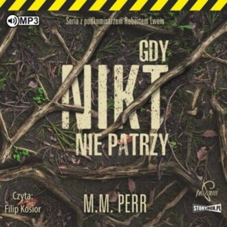 PERR M. M. - PODKOMISARZ ROBERT LEW 2. GDY NIKT NIE PATRZY. okładka książki audio