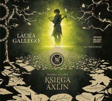 GALLEGO LAURA - STRAŻNICY CYTADELI 1. KSIĘGA AXLIN. okładka ksiązki audio
