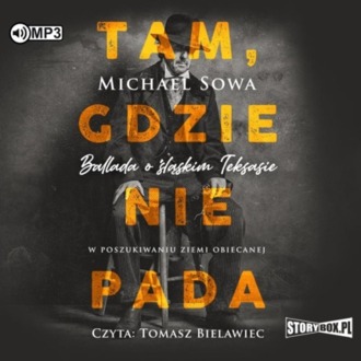 SOWA MICHAEL - TAM, GDZIE NIE PADA. okładka książki audio