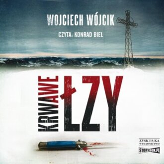 WÓJCIK WOJCIECH – PAWEŁ ŁUKASIK I AGNIESZKA JAMRÓZ 2. KRWAWE ŁZY. okładka książki audio