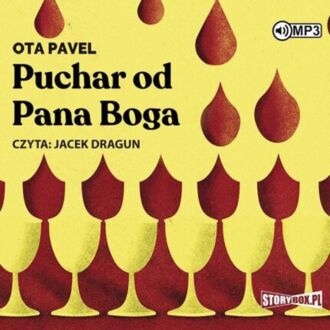 PAVEL OTA - PUCHAR OD PANA BOGA. okładka książki audio