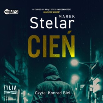 STELAR MAREK - KRUGŁY I MICHALCZYK 3. CIEŃ. okładka książki audio