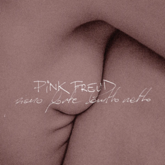 PINK FREUD - Piano forte brutto netto. Okładka płyty