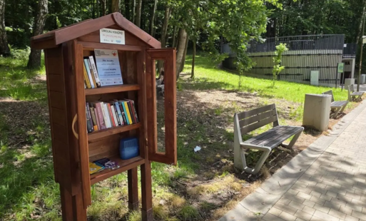 BOOKCROSSING W MIEŚCIE. PROJEKT 'LUSTRO I OKNO W WODZISŁAW ŚLĄSKI'